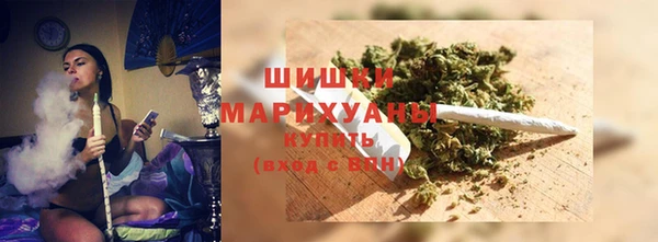 spice Алзамай