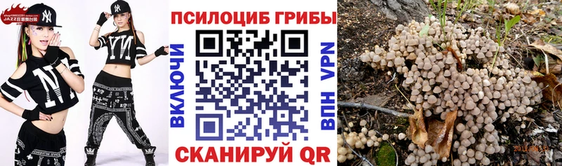 как найти Чапаевск Галлюциногенные грибы MAGIC MUSHROOMS